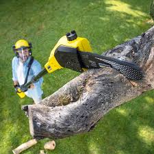 Best Lawn Mowing Services  in Cottage Grove, MN